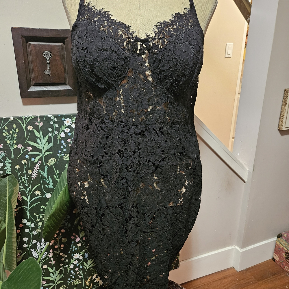 Fashion Nova Black Mini Dress with Lace Details